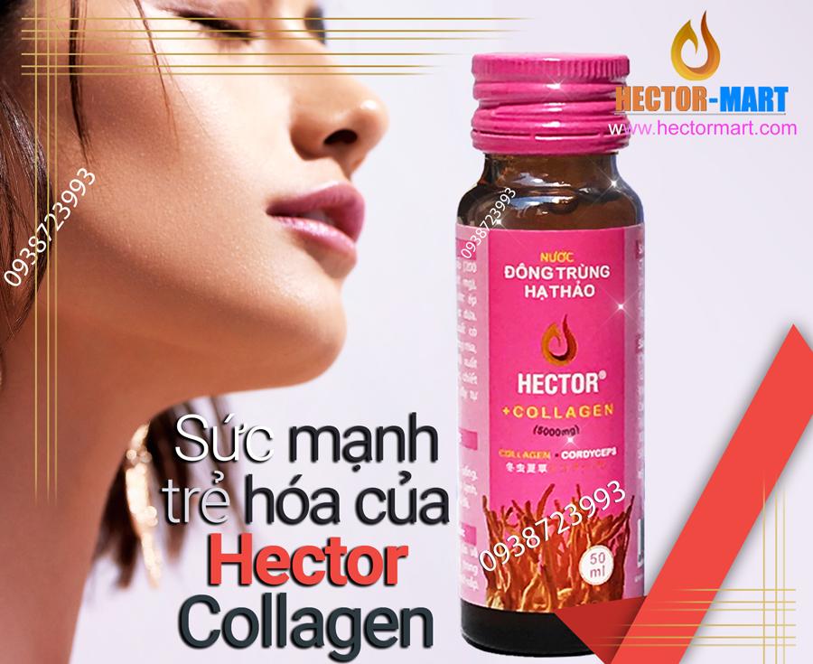 Nước Uống Đông trùng hạ thảo HECTOR COLLAGEN (Hộp 10 Chai)