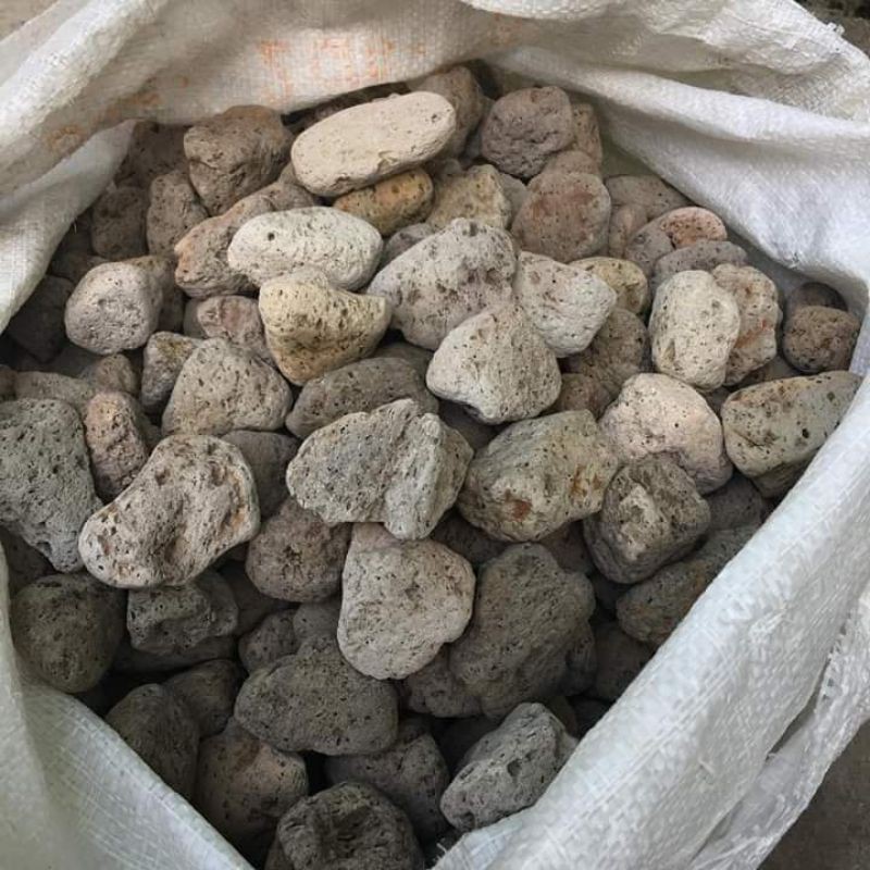 Đá lông vũ indo 2-4 , 500g nham thạch trắng đá bọt