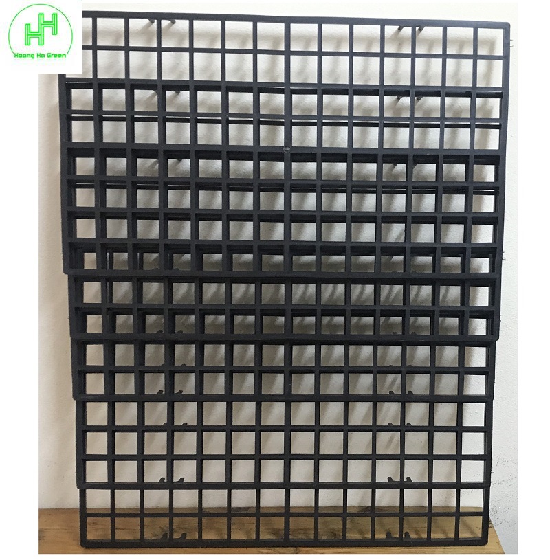 5 Khay, Vỉ Mô Hoa Lan 112 Lỗ