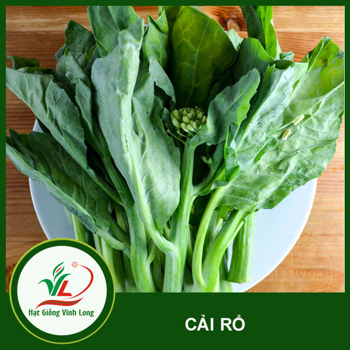 Hạt giống Cải Rổ RD 305 - 5g