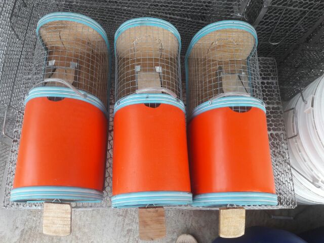 Bẫy chuột nhiều con thông minh loại Đại [HIỆU QUẢ 100%]