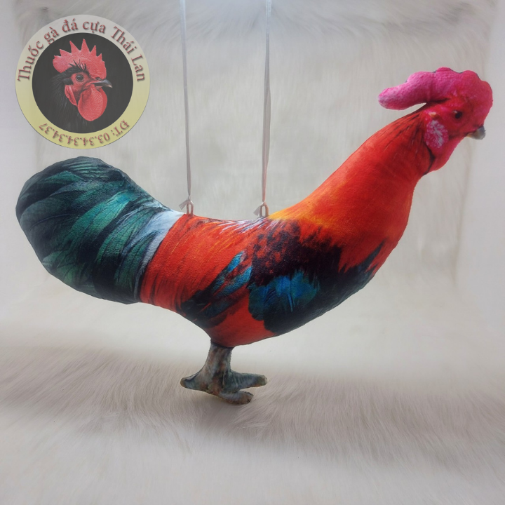 [HCM]gà giả tập lực - săn chắc cơ bắp - né đòn tốt