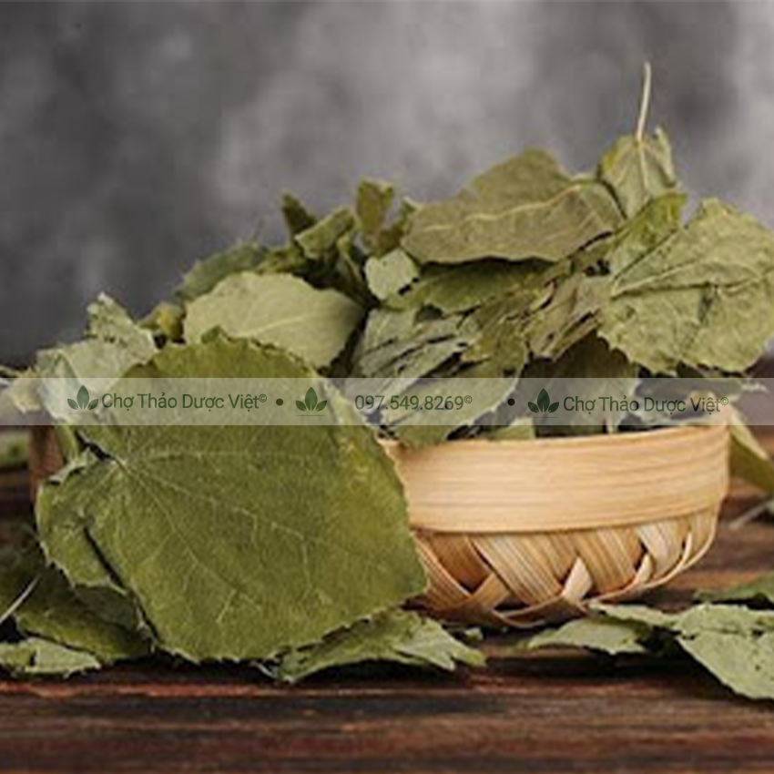 Lá dâm dương hoắc khô 1kg, trà dâm dương, lá đẹp, thơm, sạch - Chợ Thảo Dược Việt