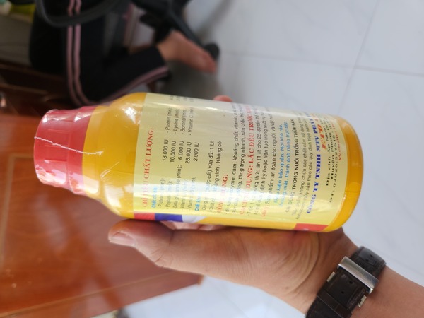 FIRST - SIÊU TĂNG TRỌNG CHO LƯƠN