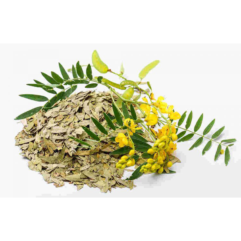 Lá phan tả diệp khô (1KG) - DB069