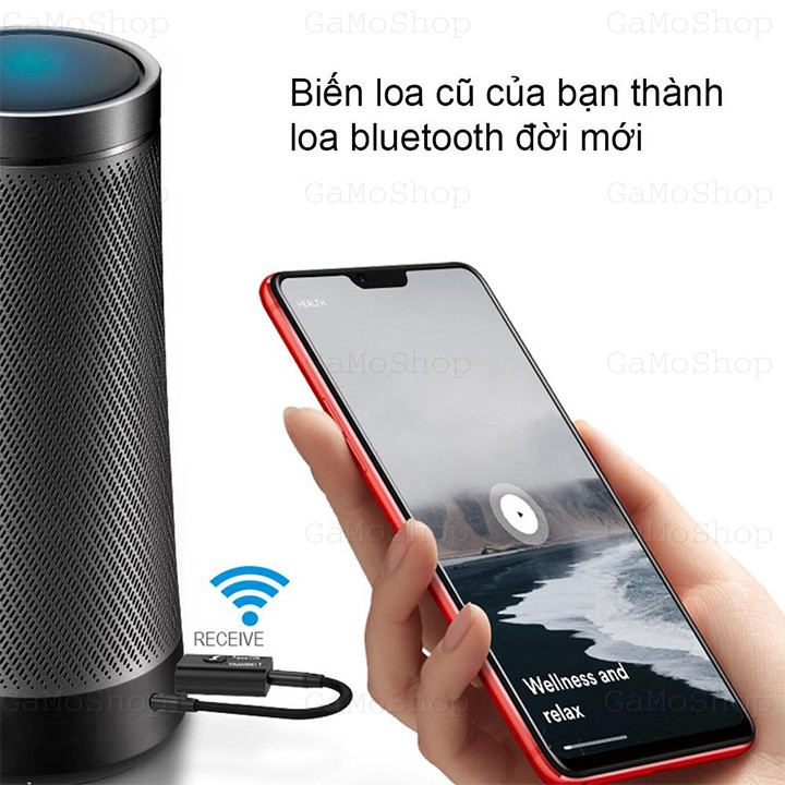 [HCM]Usb Bluetooth 5.0 TR6 Thu Và Phát Bluetooth Âm Thanh Stereo 2 Chức Năng