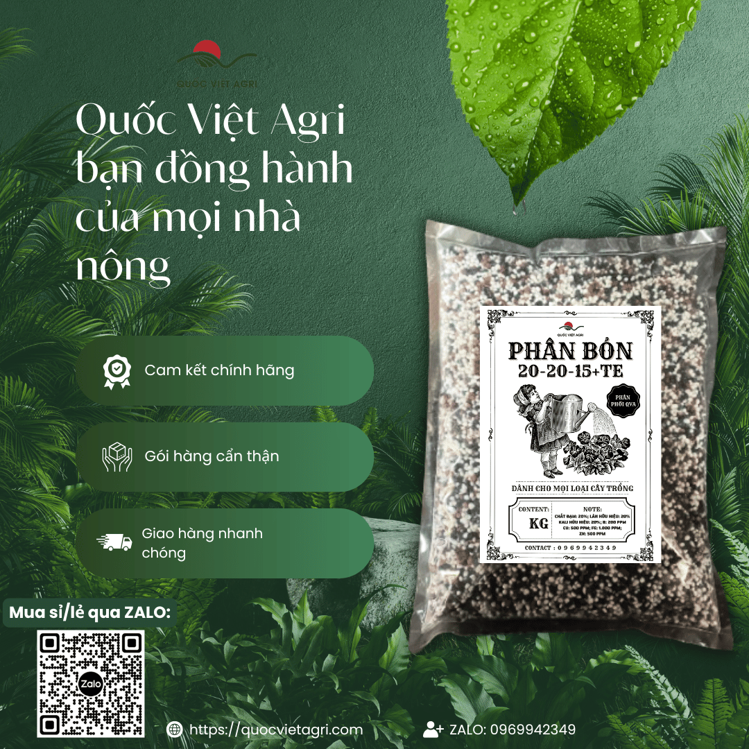 Phân bón NPK 20-20-15+TE CHÂU ÂU (gói 1KG)