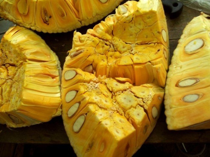 CÂY GIỐNG MÍT THÁI SIÊU SỚM - SIÊU TRÁI, NGỌT MÁT