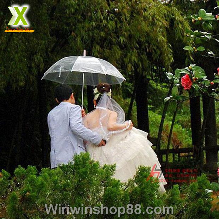 Dù trong suốt đi mưa màu hồng