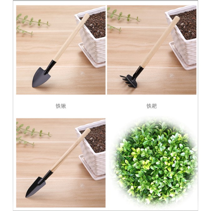 Bộ Dụng Cụ Làm Vườn Mini 3 Món Tiện Dụng A92
