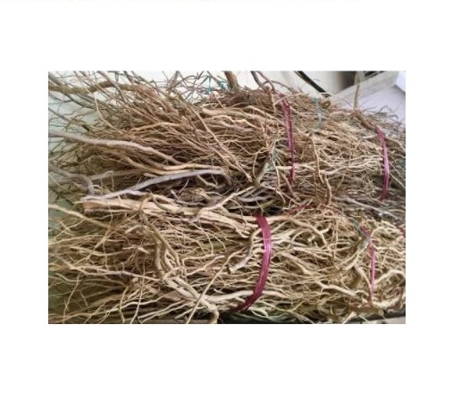 Lũa Rễ Rừng dẻo 100g - Lũa Setup Bể Thuỷ Sinh