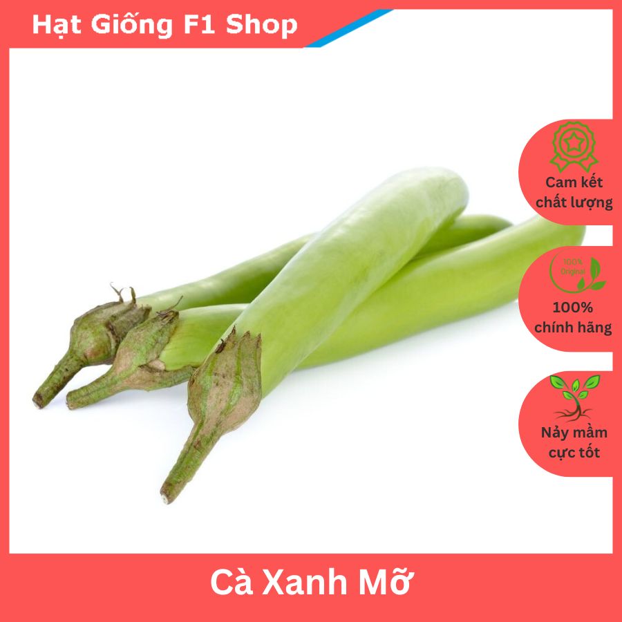 Hạt Giống Cà Xanh Mỡ Trái Dài