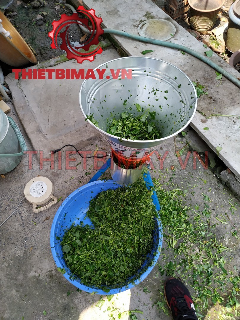 Máy băm cỏ voi rau cổ tròn