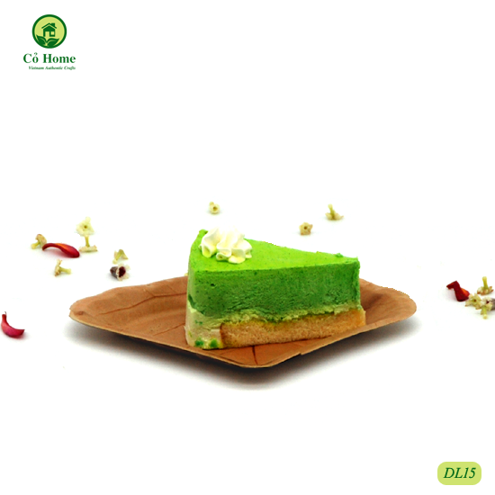 SET 10 ĐĨA LÁ- ĐĨA ĐỘC ĐÁO- CỎ HOME