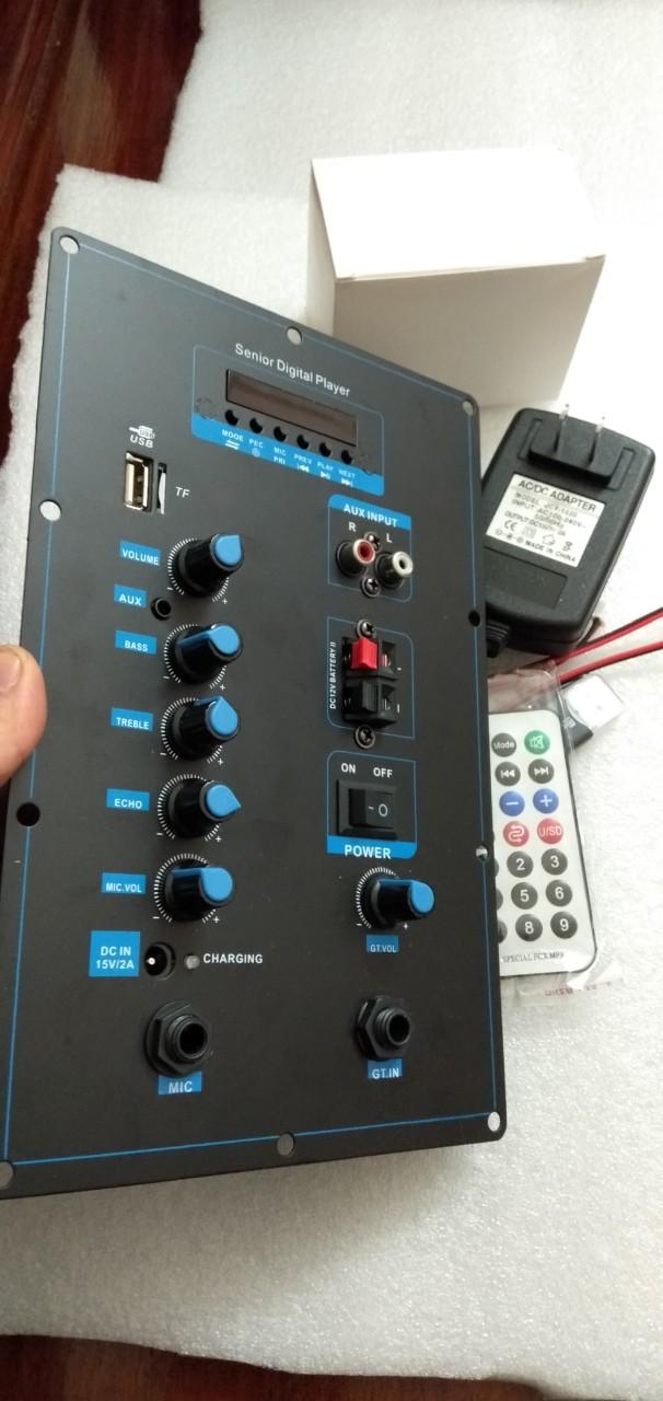 Mạch loa kéo 300w