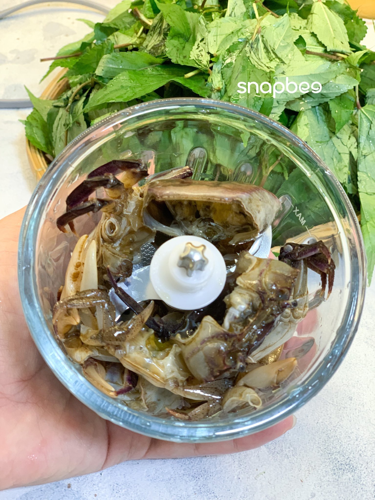 MÁY XAY ĐA NĂNG 2 CỐI SNAPBEE