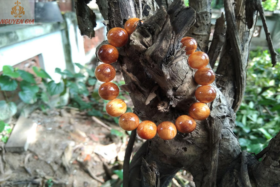 Vòng gỗ huyết rồng (huyết long) 12mm