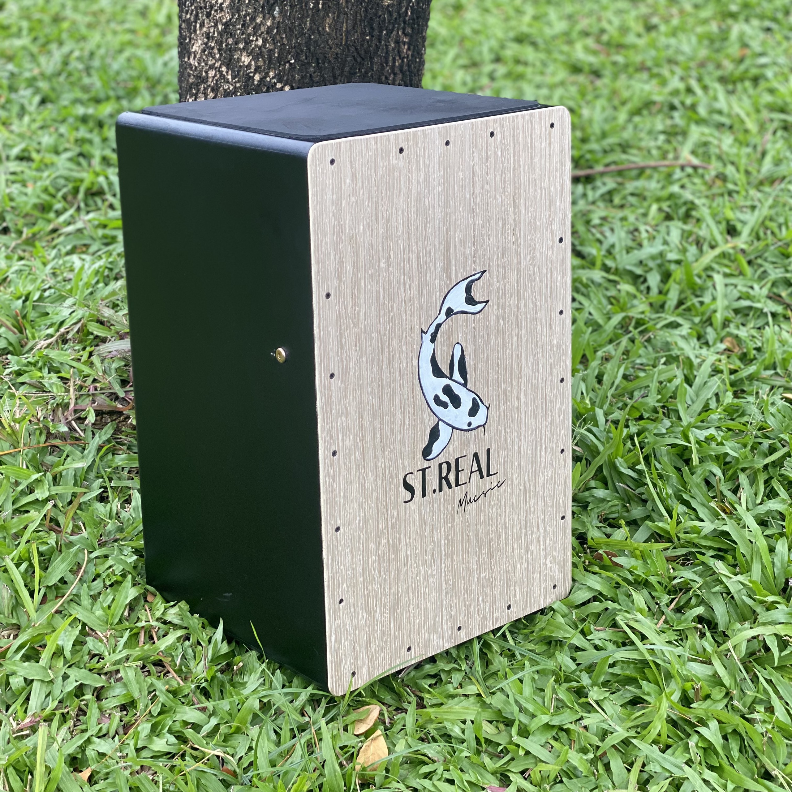 Trống Cajon KOI SHIRO - Tặng Miếng Lót