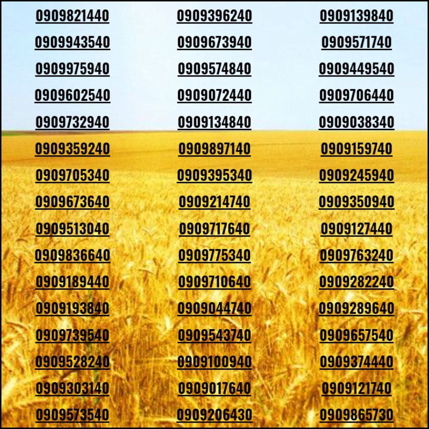 [HCM]Sim đẹp Số tiến
