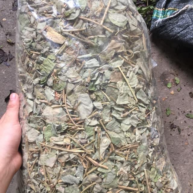 Kim Tiền Thảo Khô 500g