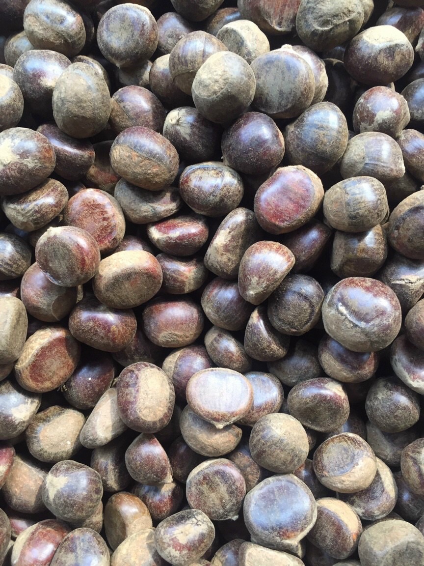[HCM]Hạt dẻ sống loại 1 kg “Lào cai “