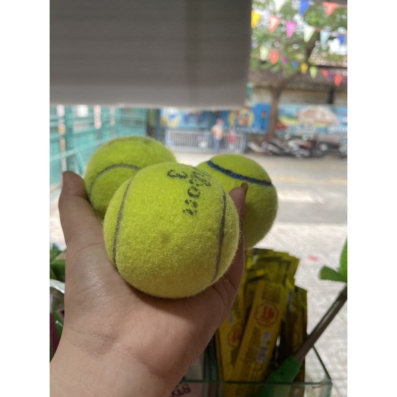 [HCM]BÓNG TENNIS CỦ 1 trái (sỉ = lẻ)