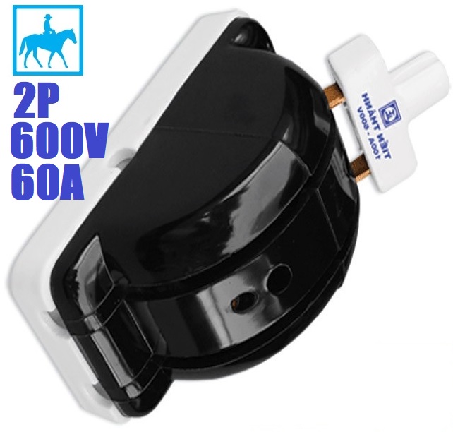 High Quality 2-Phase 2P 60A 600V Reversible Electrical Circuit Breaker