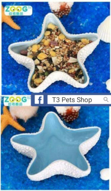 Chén sứ ngôi sao dành cho hamster, thỏ, bọ, sóc, nhím, ....- T3 PETS SHOP