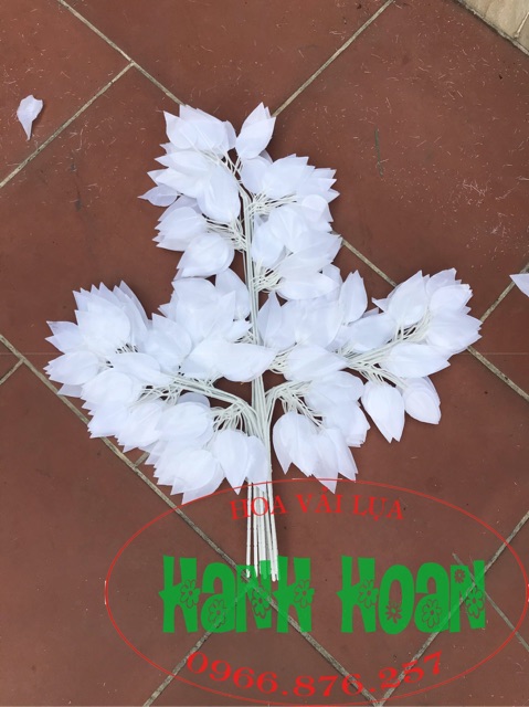 Sỉ bó 10 Cành lá si trắng - Lá giả