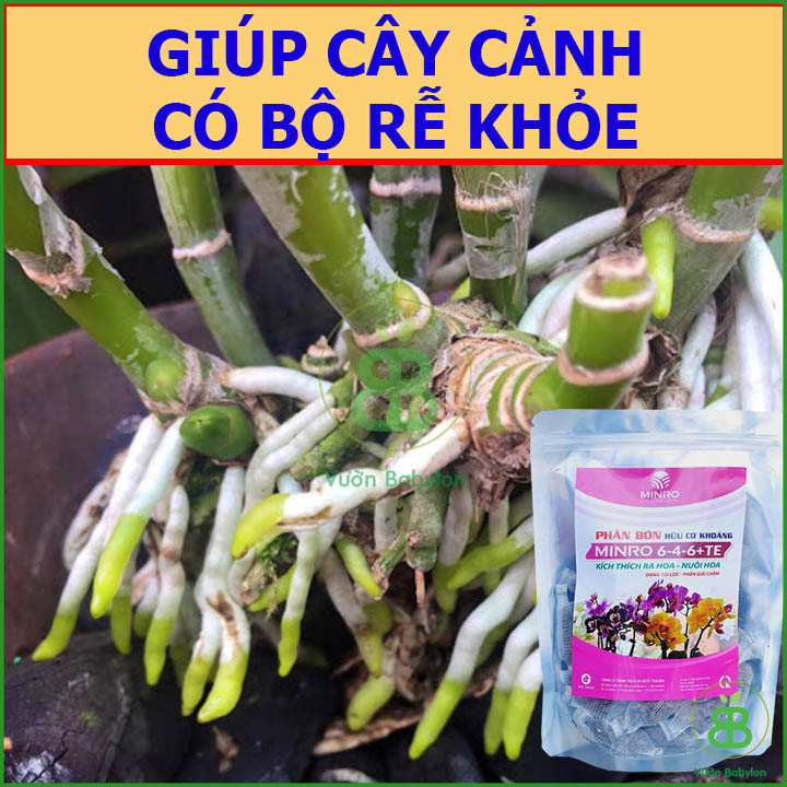 Phân Tan Chậm Hữu Cơ Khoáng MINRO 6-4-6