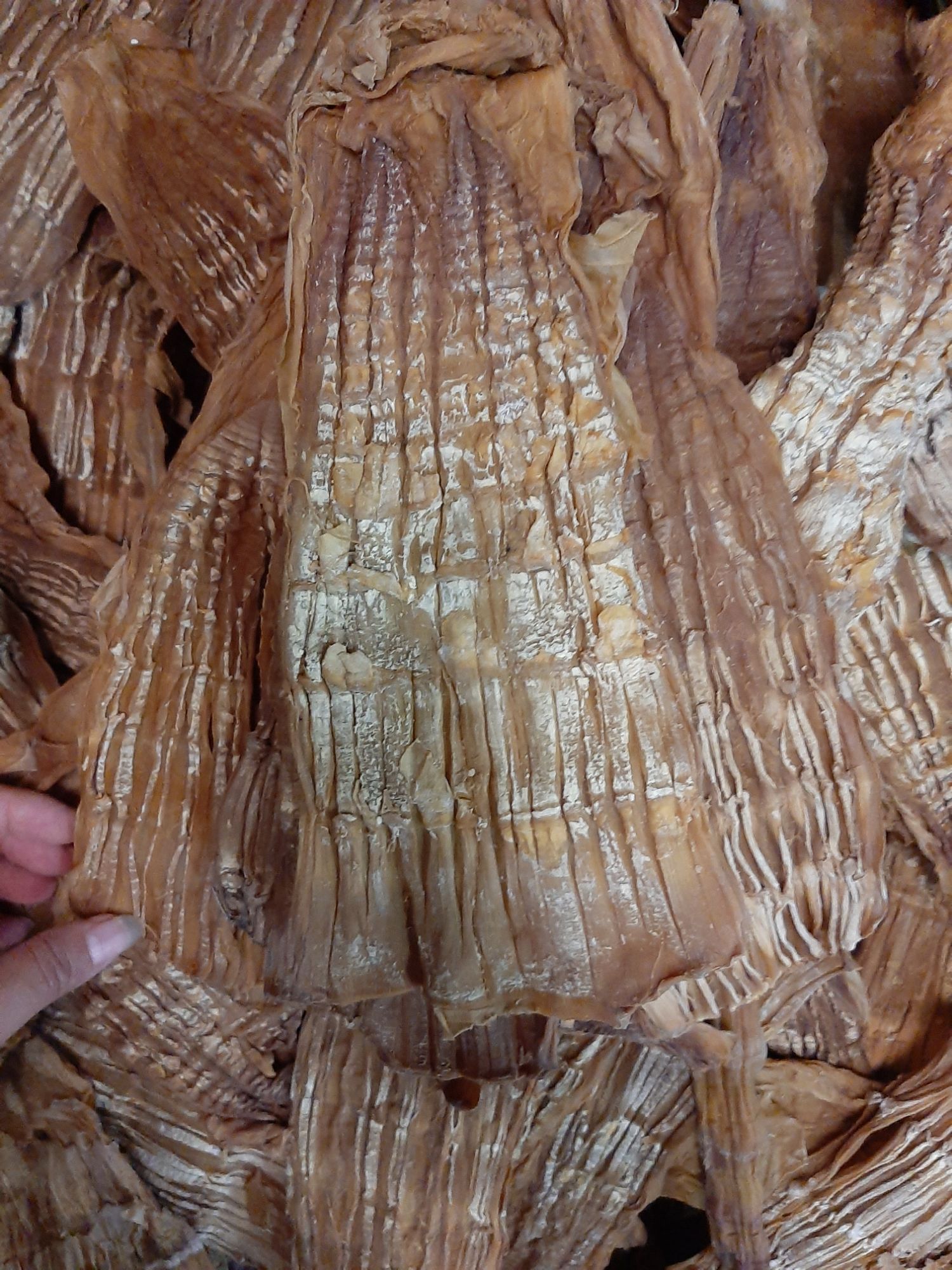 Măng khô Điện Biên 1kg