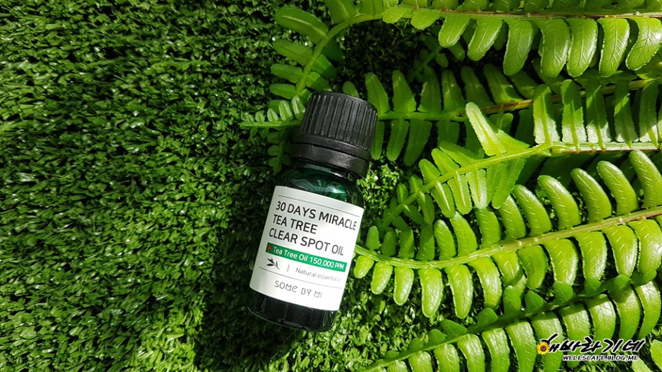 Chấm Mụn Some By Mi Tea Tree 30 Days Miracle Clear Spot Oil 10ml