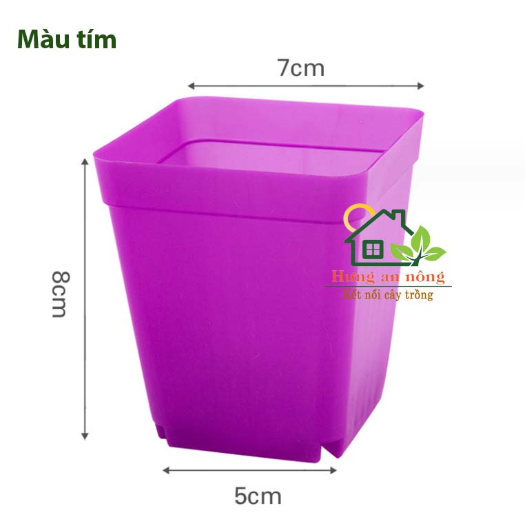 CVL1 - Sét 100 chậu vuông nhựa PP chuyên trồng sen đá xương rồng bonsai cây để bàn size 7x7x8cm