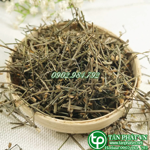 Cây bán chi liên khô 1kg - Trà ngon thơm sạch chất lượng cao - Thảo Dược Tấn Phát