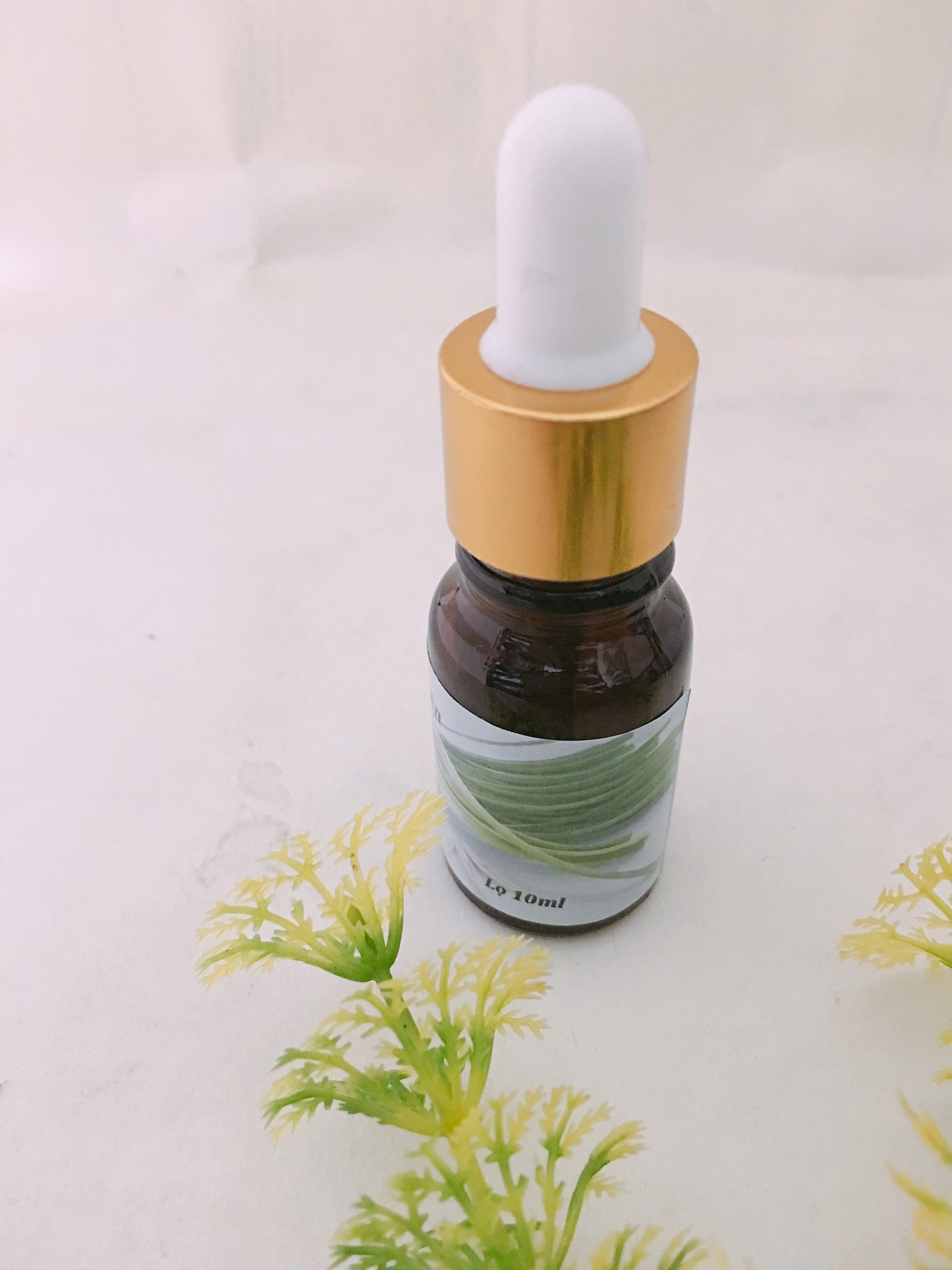 Tinh dầu xông phòng hương Sả Java nguyên chất lọ 10ml