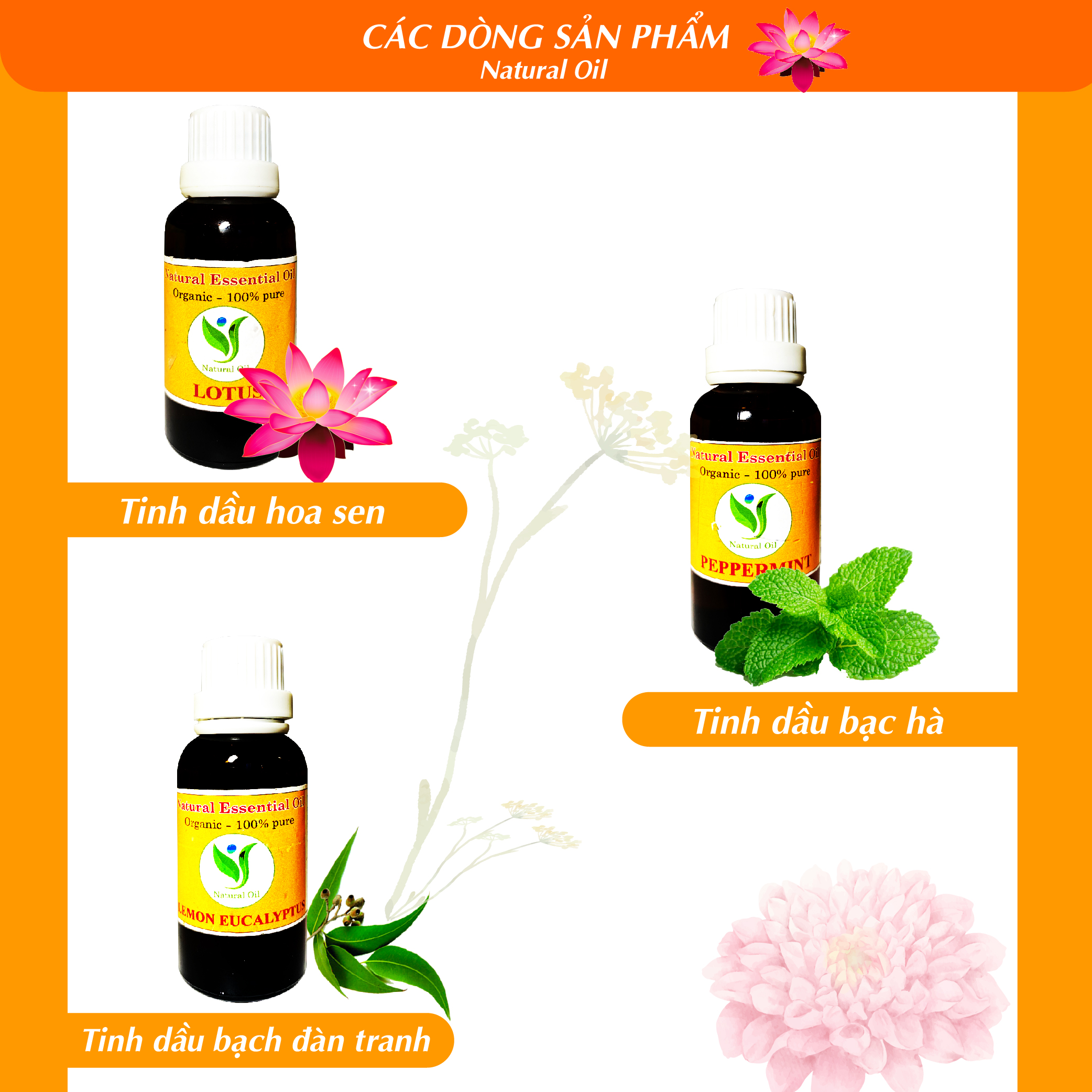 Tinh Dầu Treo Bạc Hà 8ml - Treo Thơm Phòng, Xe