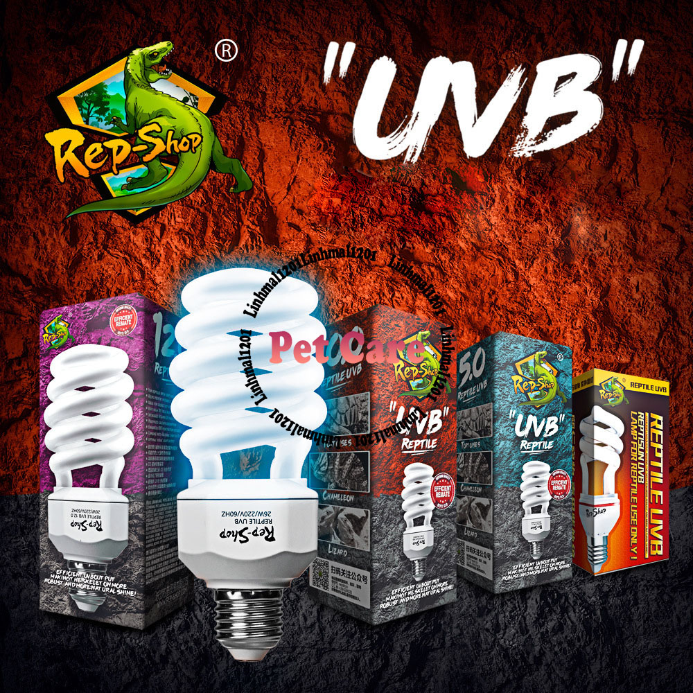 Đèn UVB cho bò sát
