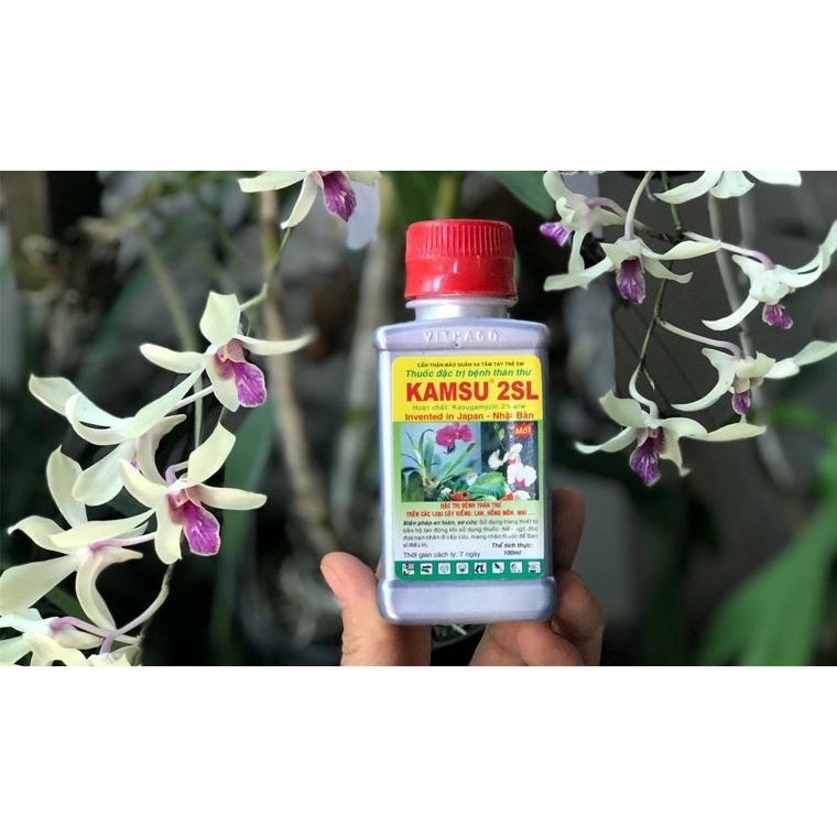 KamSu 100ml Th uốc đặc t rị bệnh thán thư