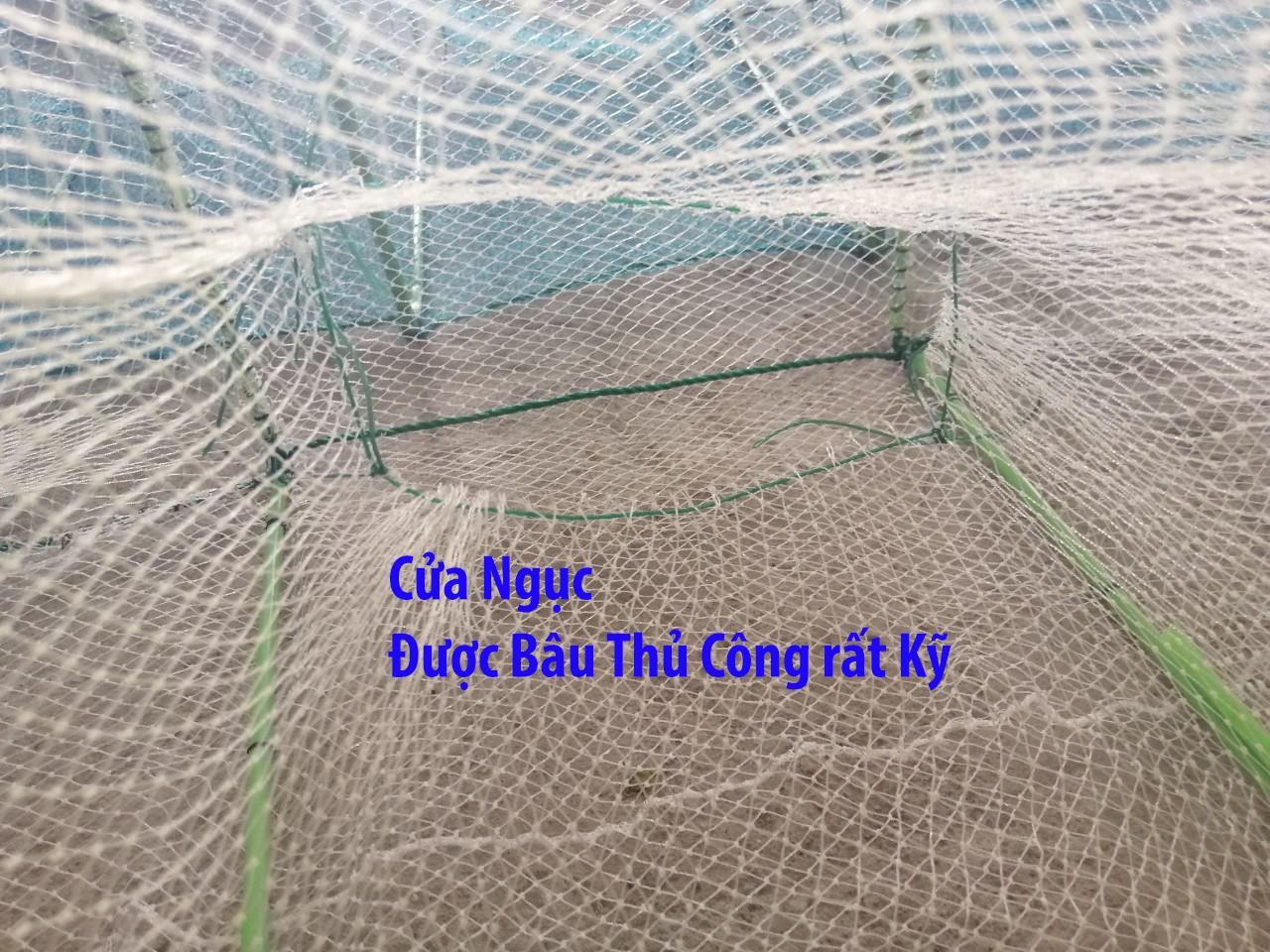 [Giá Tại Xưởng] Lồng lưới bát quái chã 29 cừa ngục mắt lưới 1 cm dài 8m 9m chuyên đánh bắt cá tôm lươn trạch, lú đánh cá - Duli