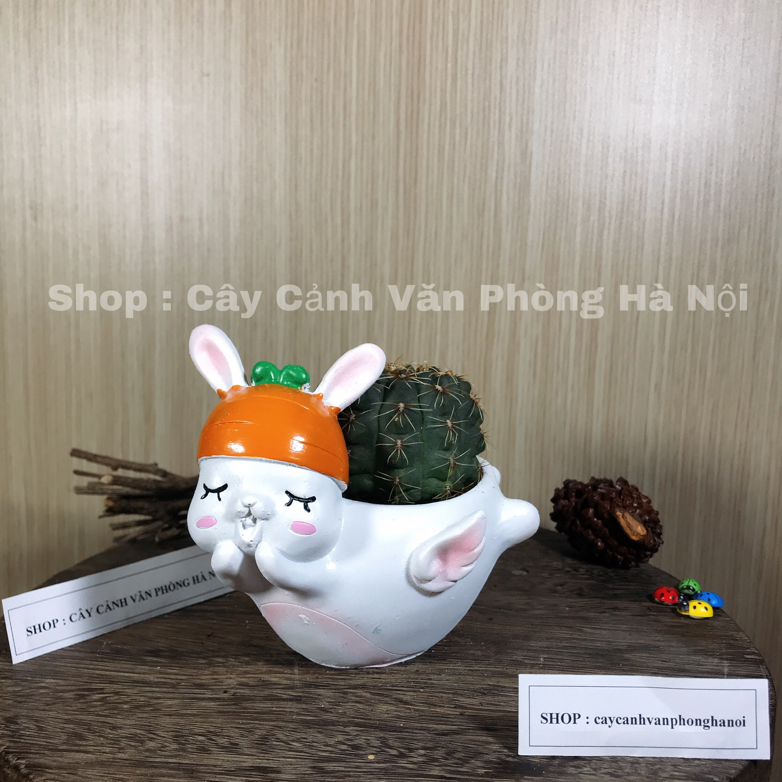 chậu trồng cây hình thỏ trắng có cánh [ tặng kèm đất trồng cây ]