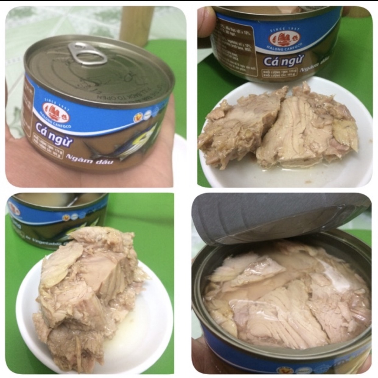Cá ngừ ngâm dầu đóng hộp 175g