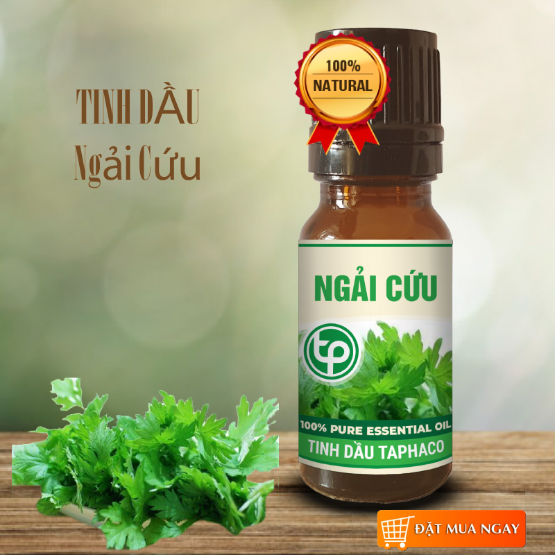Tinh dầu ngải cứu nguyên chất 20ml - Giảm đau nhức xương khớp