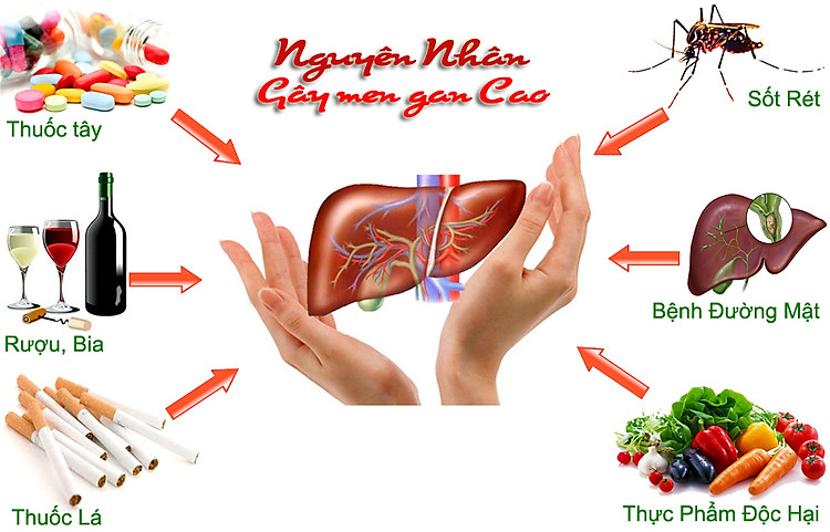 Cặp Đá Nóng Massage Chườm Gan - Loại 500g
