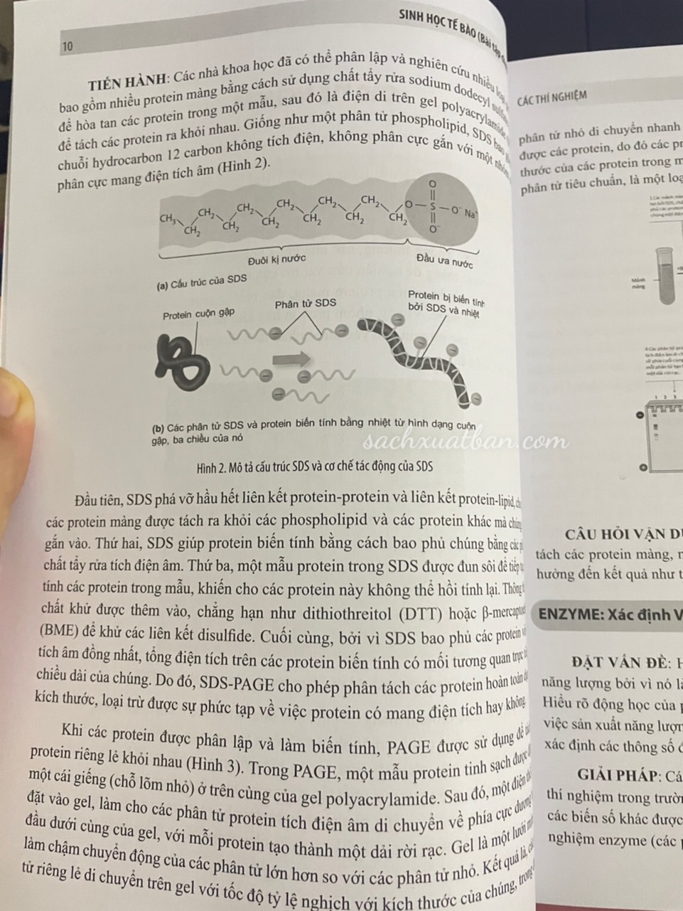 Sách Sinh học tế bào (Bài tập chuyên đề) - NTbooks
