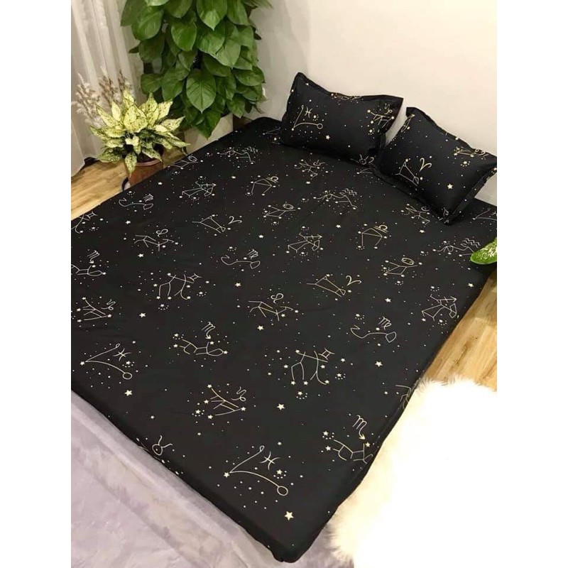 Bộ 1 ga chun và 2 vỏ gối cotton poly()