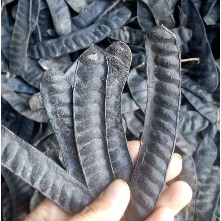 Quả bồ kết khô 1kg - Thảo Dược Tấn Phát