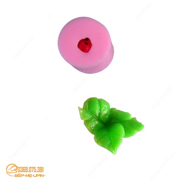 Khuôn silicon ngọn lá cây