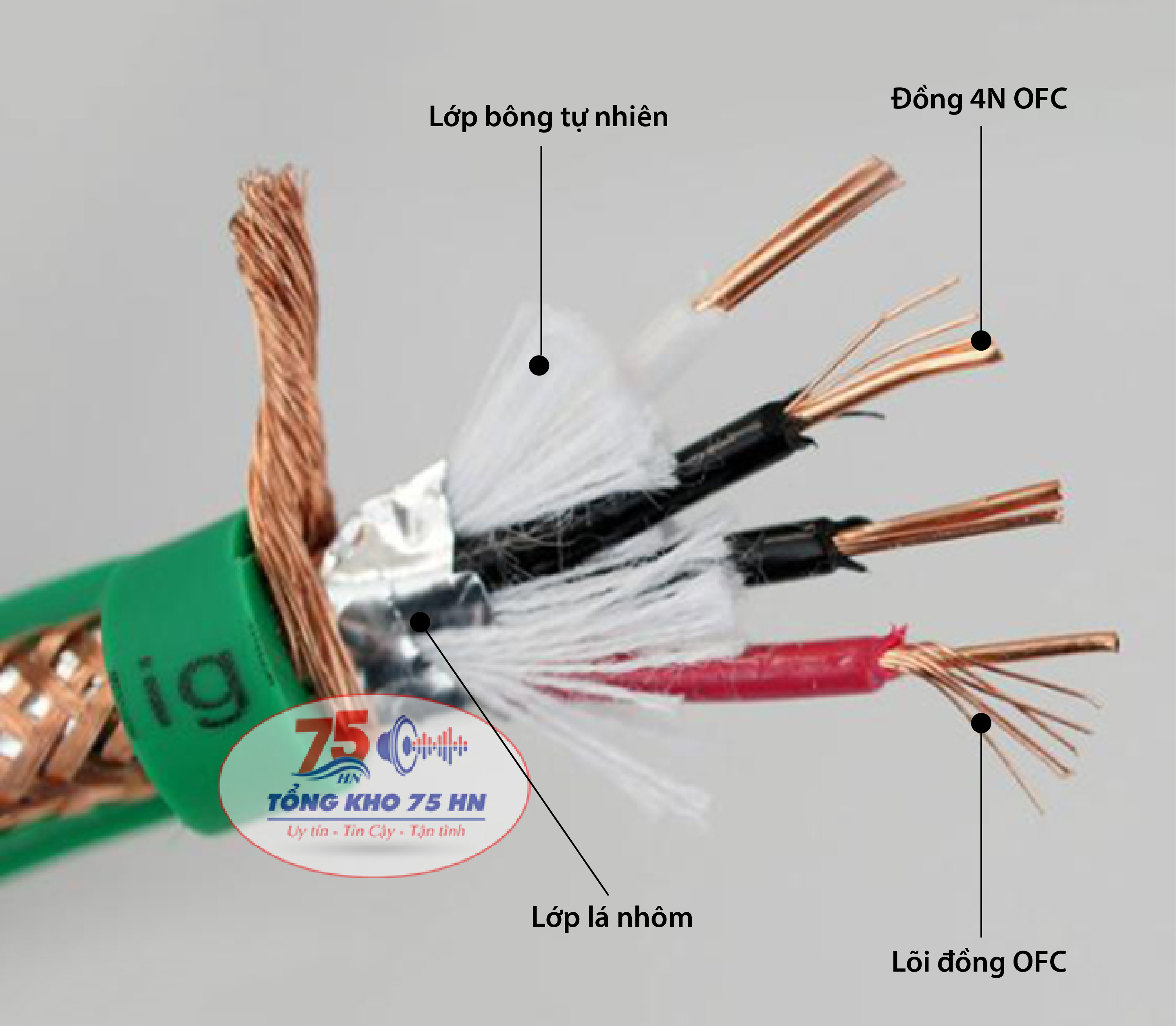 Cặp dây tín hiệu âm thanh Aucharm RCA cao cấp dài 1m