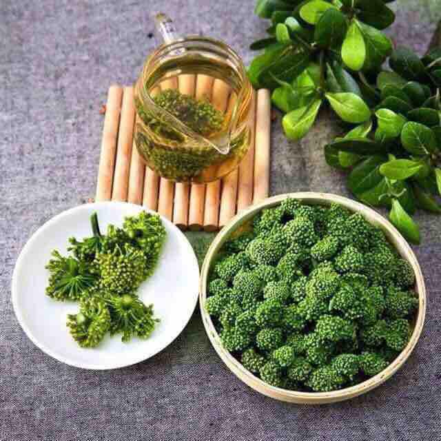 1kg nụ hoa tam thất bao tử