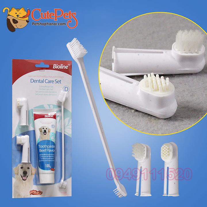 [HOÀN TIỀN 10%]Bộ Kem đánh răng cho chó Bioline 100g + Bàn chải - CutePets